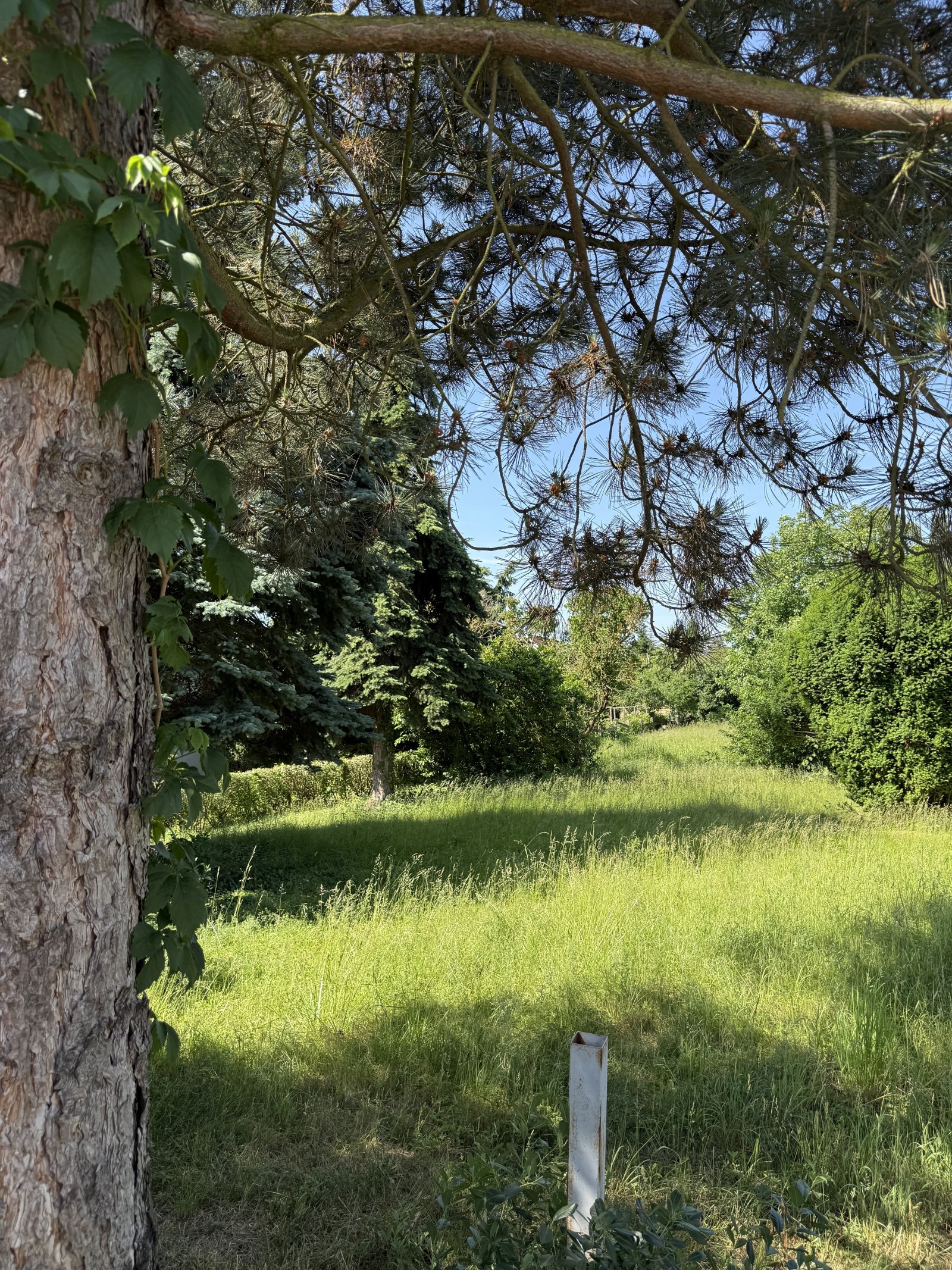 SELTENE GELEGENHEIT: GRUNDSTÜCK MIT WERTSTEIGERUNGSPOTENTIAL