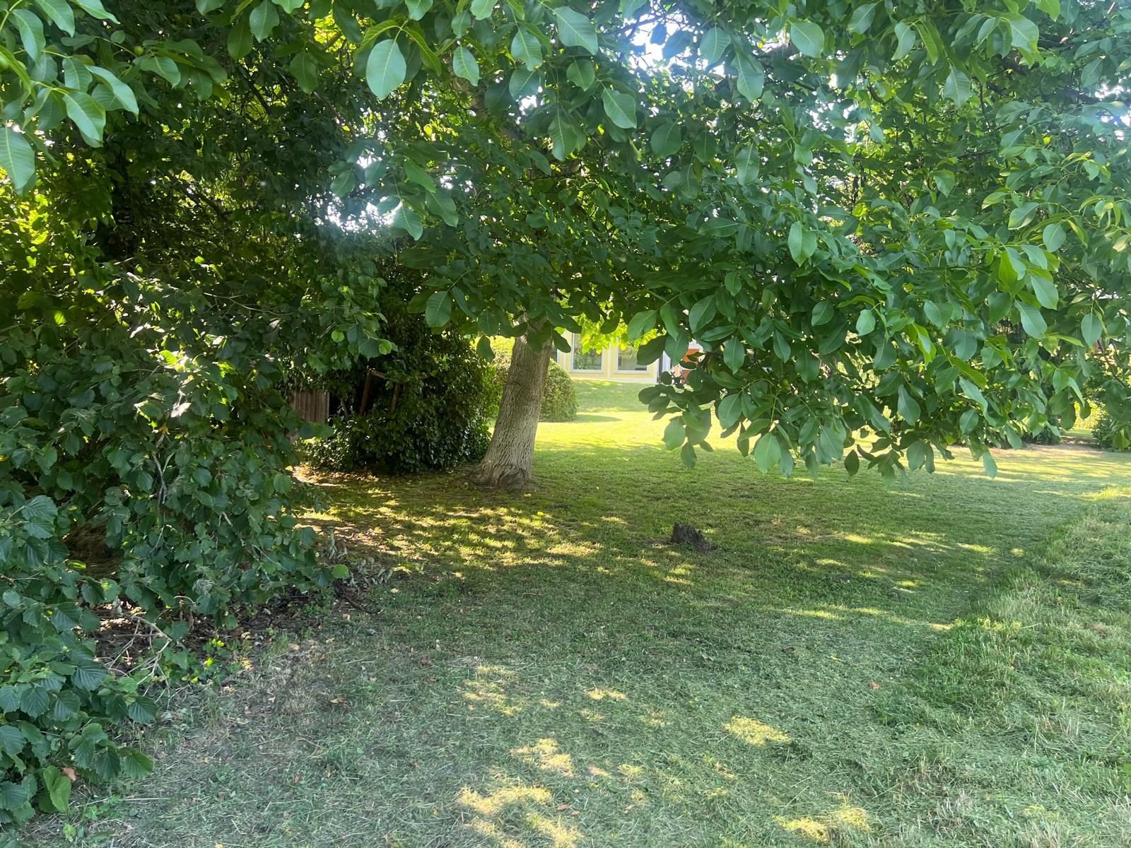 TOP LAGE, VIEL POTENZIAL, IHR GRUNDSTÜCK FÜR`S LEBEN!!!