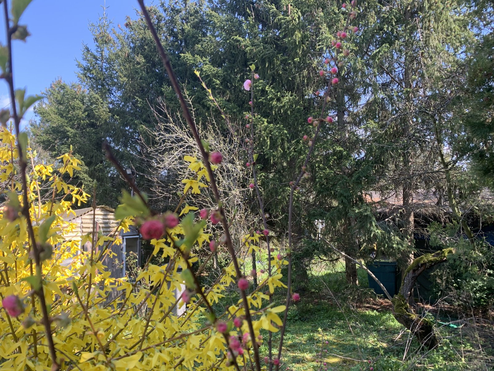 ZWISCHEN AUENWALD UND CITY, PERFEKTE LAGE