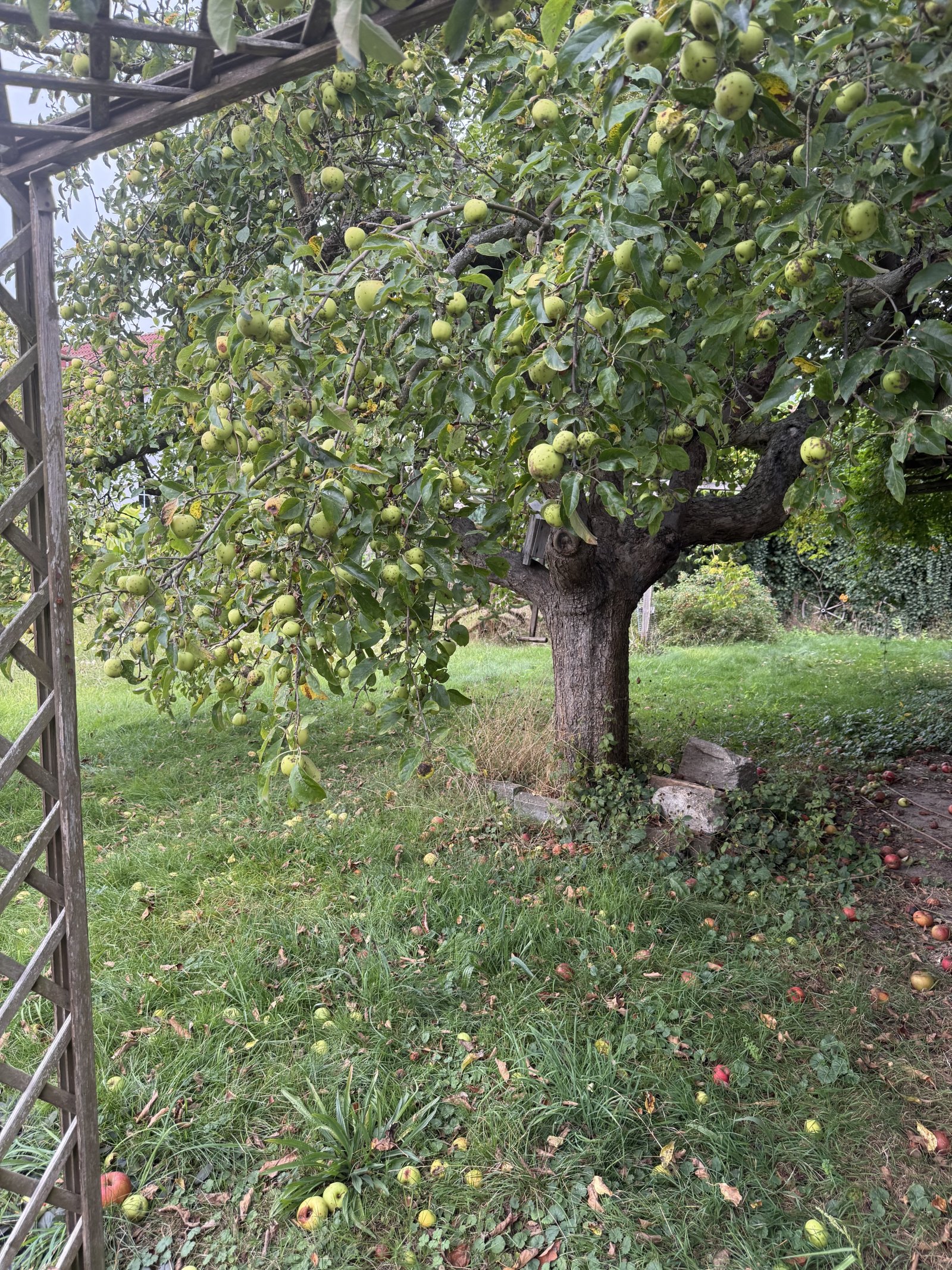 WOHNEN WO DIE NATUR ZU HAUSE IST!!!