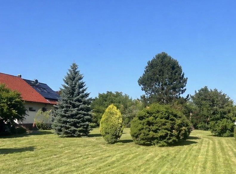DIE PERFEKTE VIERFALTIGKEIT: CITYNAH. BAHNNÄHE. WALDNÄHE- UND ABSOLUT RUHIG! 