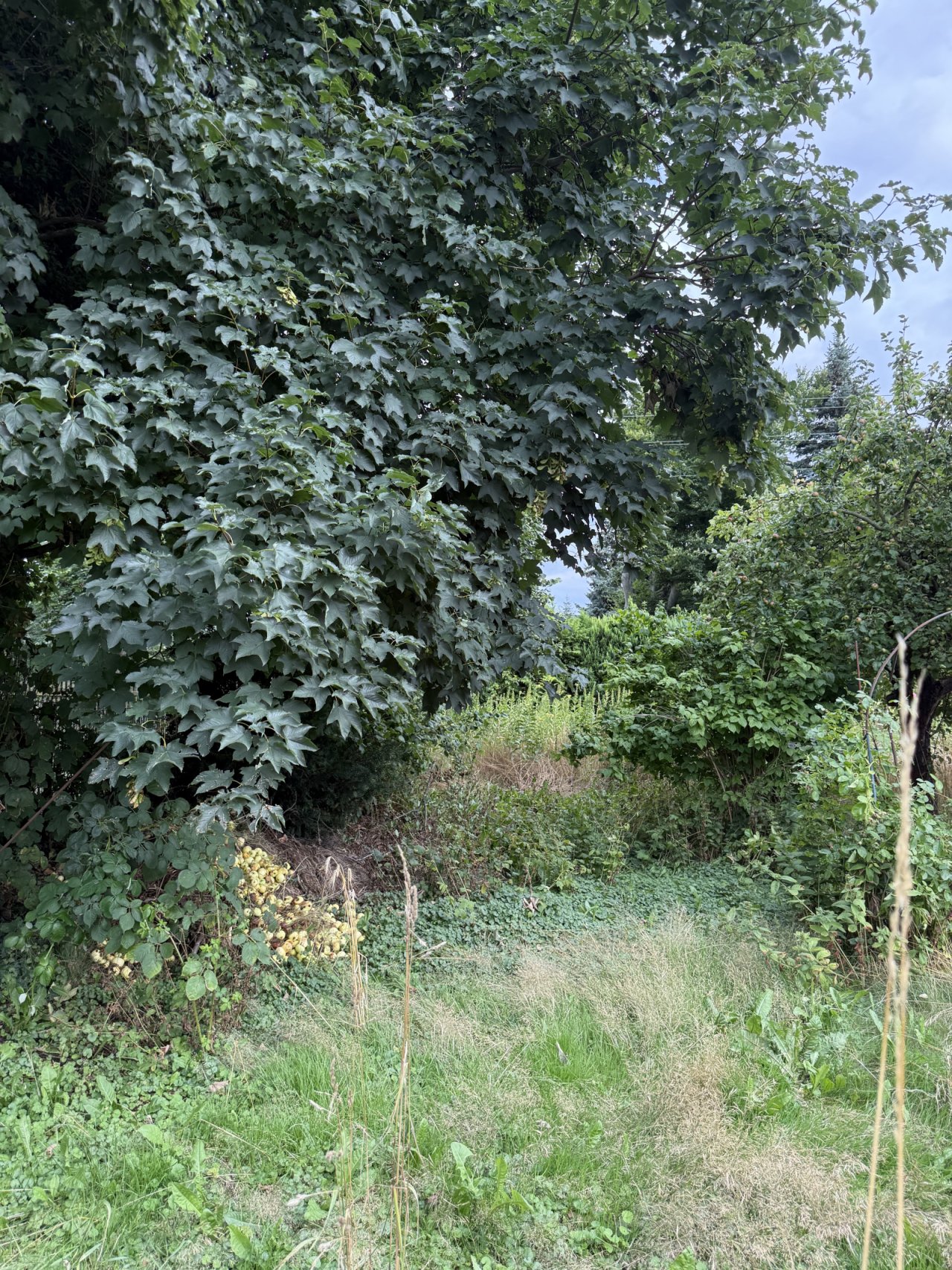 Wiederitzsch Wiederitzsch