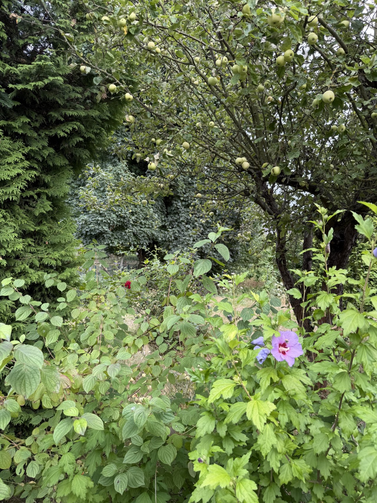 Wiederitzsch Wiederitzsch