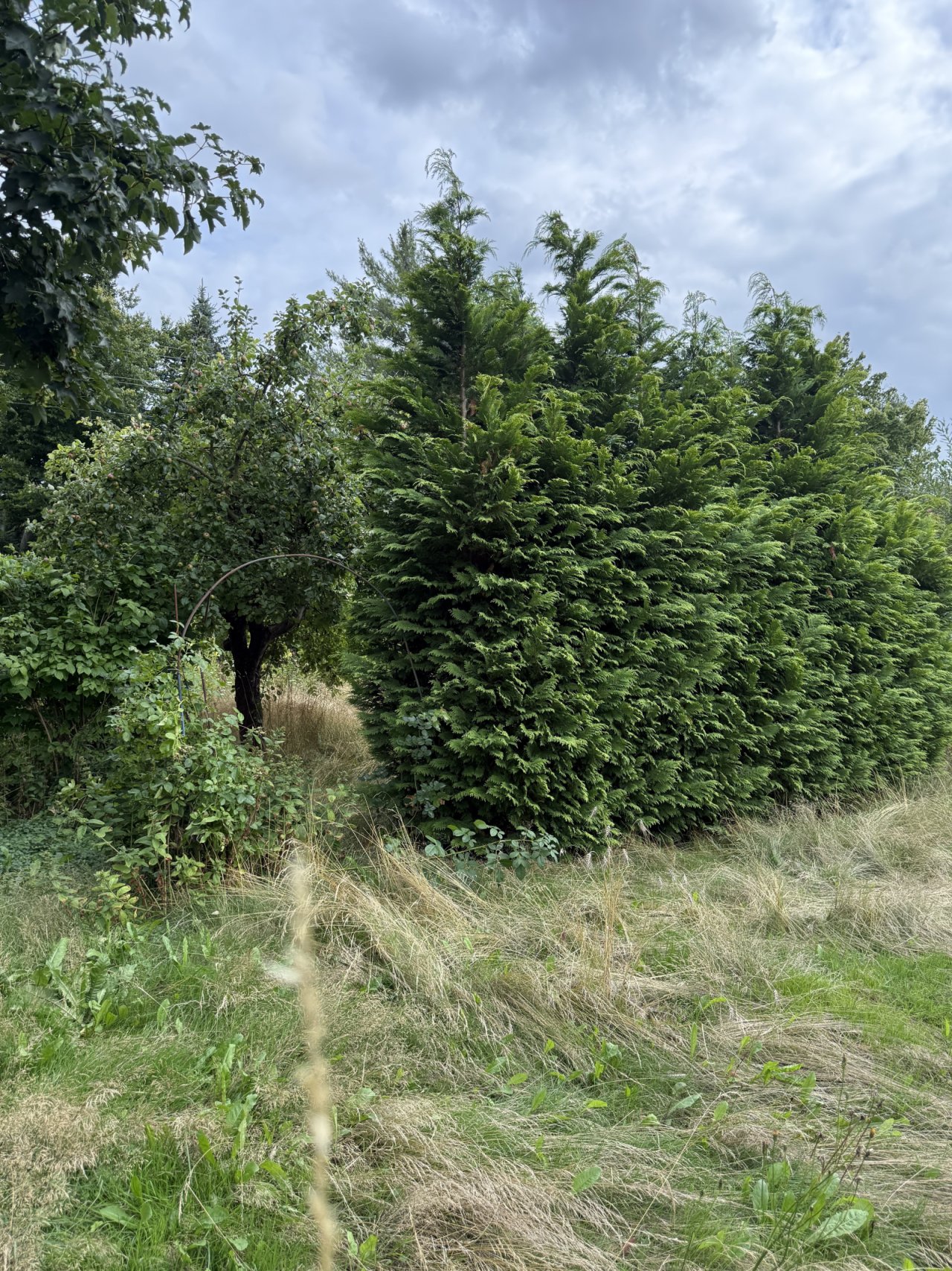Wiederitzsch Wiederitzsch