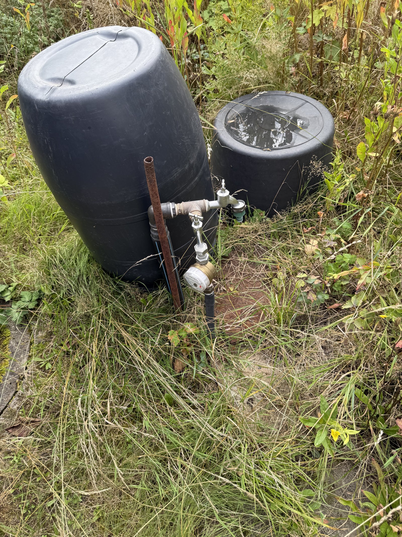 Wiederitzsch Wiederitzsch