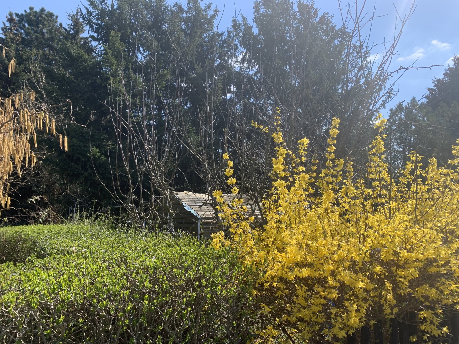 Leipzig: RUHE GENIESSEN, STADT ERLEBEN!! Leipzig: RUHE GENIESSEN, STADT ERLEBEN!!