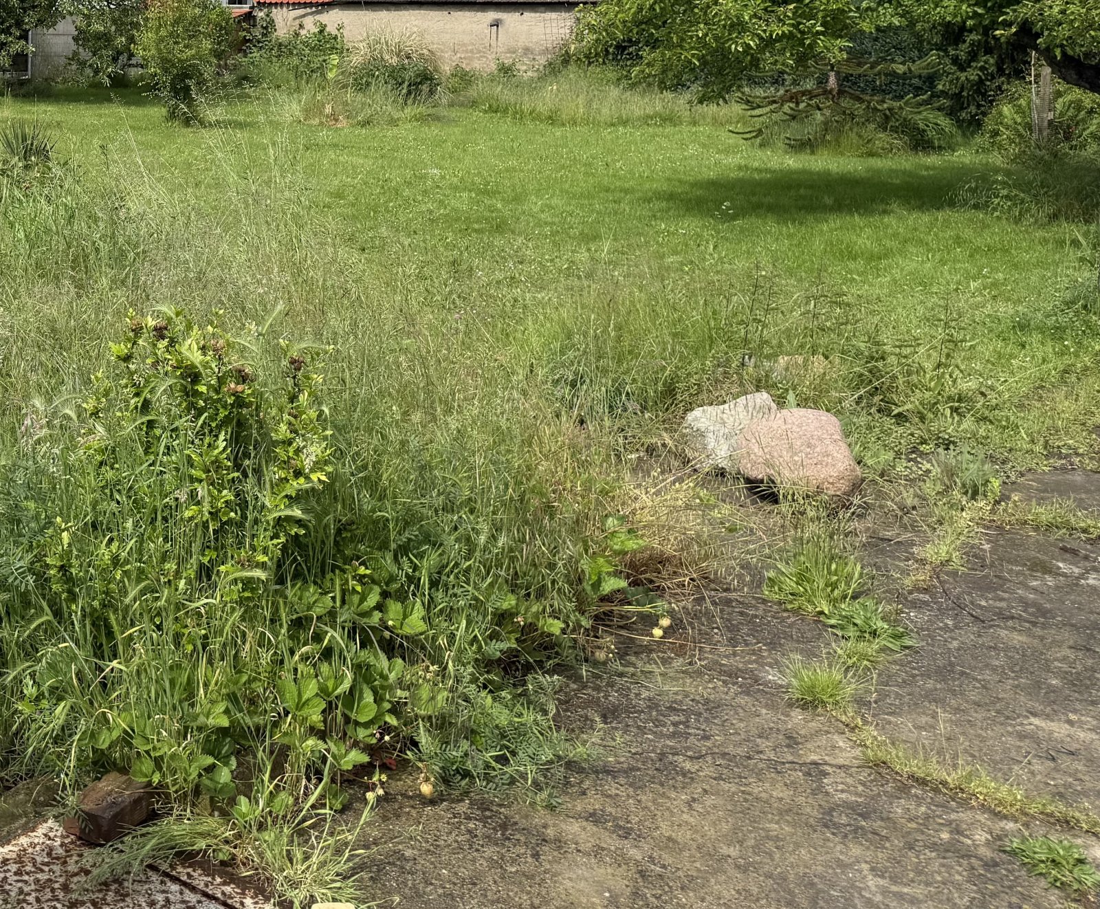 Otterwisch: RUHE, NATUR, SEE. IHR PLATZ ZUM ANKOMMEN!!! Otterwisch: RUHE, NATUR, SEE. IHR PLATZ ZUM ANKOMMEN!!!