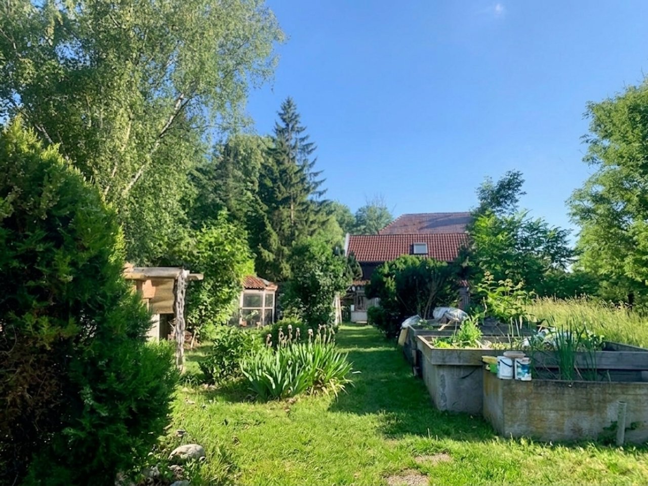 Blick ins Grundstück Blick ins Grundstück